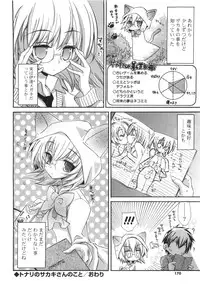 [Kumakou] CARAMEL BOX