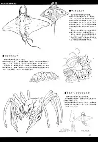 (C89) [SHIS (Z-ton)] A Beautiful Greed Z-ton Jingai Soushuuhen