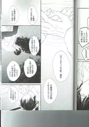 Petals Falling on Rippling Waters