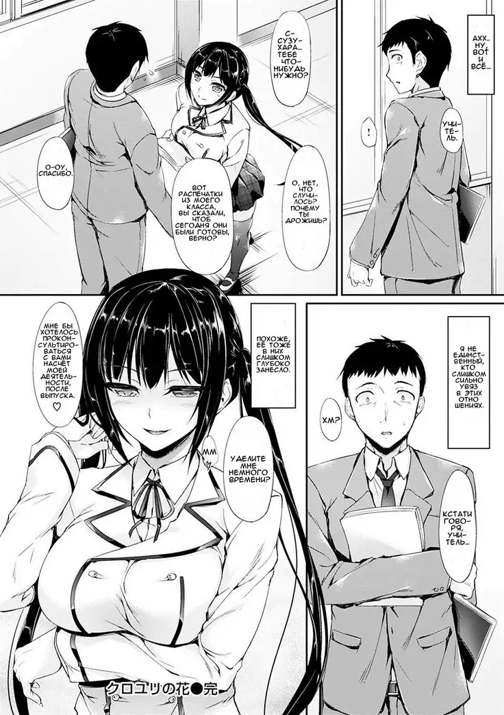 Kuroyuri no Hana The Black Lily Flower