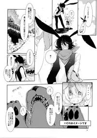 (C90) [PINSIZE Inc. (MITAONSYA)] BLACK AND WHITE RABBIT Soushuuhen