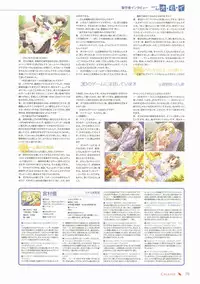 Canvas Visual Fan Book