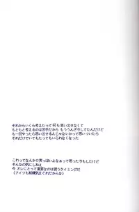 [Devil May Cry] Fragment (VergilxDante)