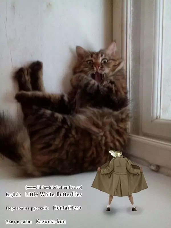 Sonzai no Taerarenai Omosa | The UnBEARable Heaviness of Being