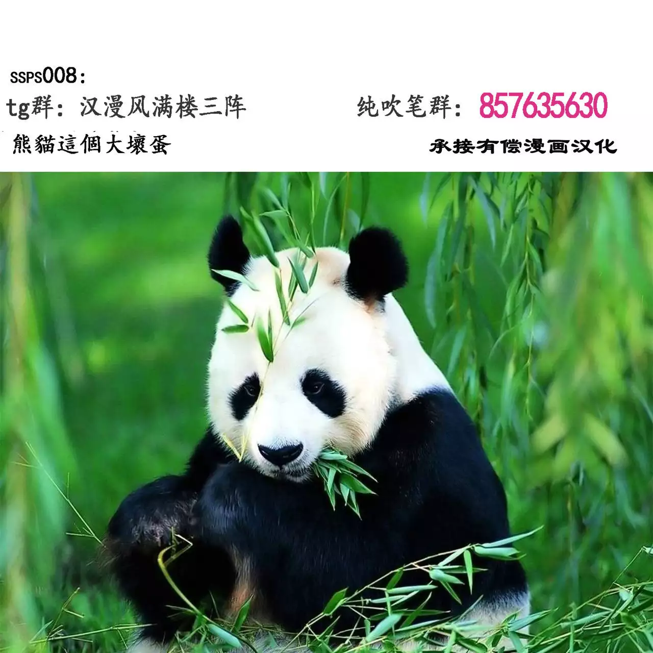 Boudica-san "Shiyo."