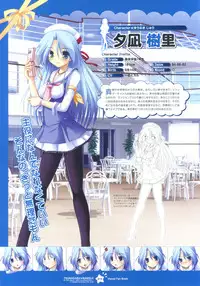 Tsunagaru Bangle - Visual Fan Book