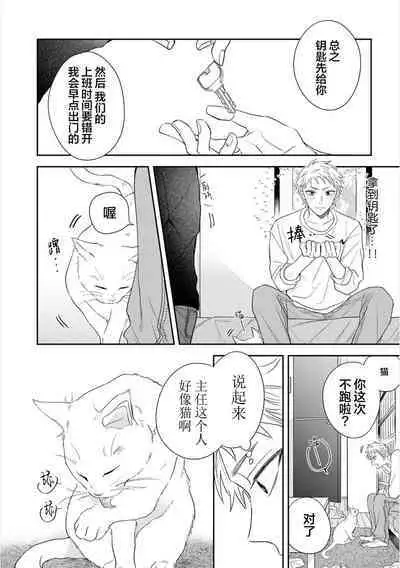 Dakasete Kudasai Furutaka Shunin｜请让我抱您古高主任