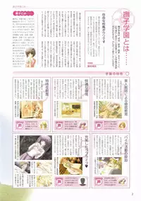 Canvas Visual Fan Book