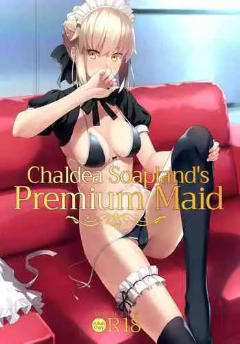 Chaldea Soap SSS-kyuu Gohoushi Maid | Chaldea Soapland's Premium Maid