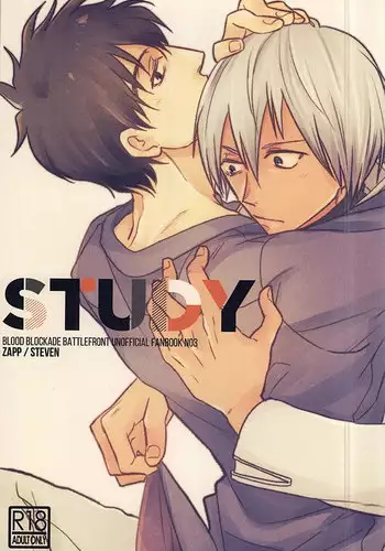 (SPARK10) [Tamagawa (Suzuki)] STUDY (Kekkai Sensen)