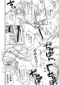 (C79) [Tenro Taito (Mukojima Tenro & Shirane Taito)] Hounyuuden (Shin Koihime Musou)