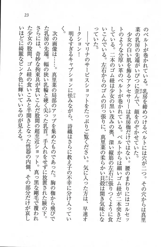 解放区～痴漢ハーレム