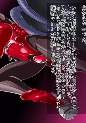 ドミギュラス・レポート