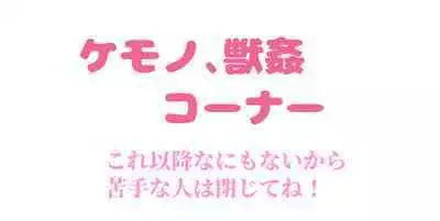 Nyotaika/TSF Summary!