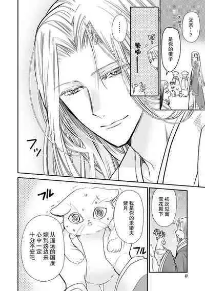 Haru machi no neko hime to byakko no dan'na-sama | 待春的猫公主与白虎的夫君