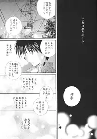 (C68) [Sakurakan (Seriou Sakura)] Tobikiri no Himitsu 3 <<Kanketsuhen>> (Inuyasha)