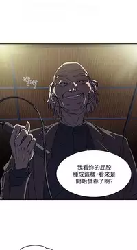 母豬養成計畫【中文】