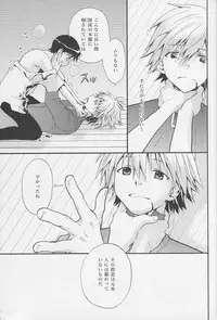 (C77) [RAYTREC (Fuyunagi Reku)] +PLUS (Neon Genesis Evangelion)