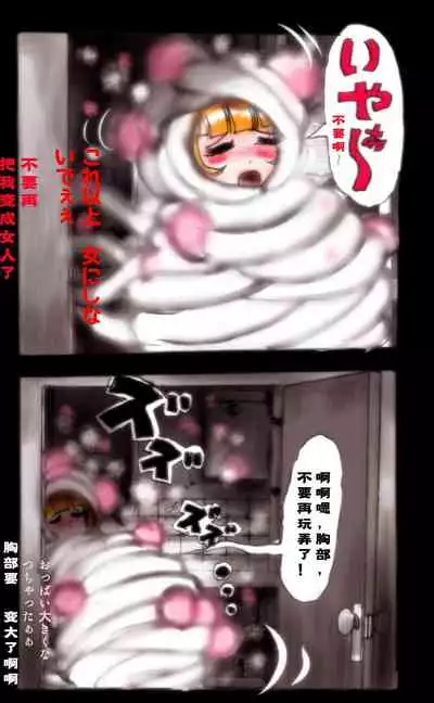 Kyousei Josou Toilet grossy