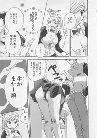 [Bakedanuki] Maid-san Beginner