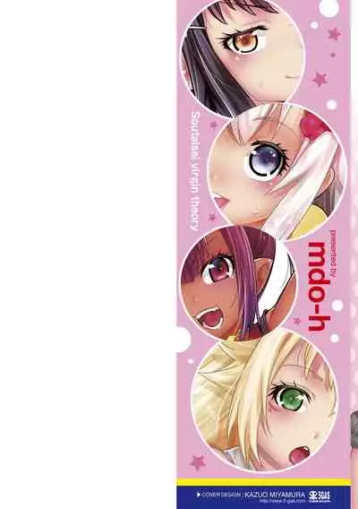Soutaisei Virgin Theory
