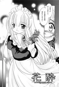 [TETRAMAX] Healthy Beans