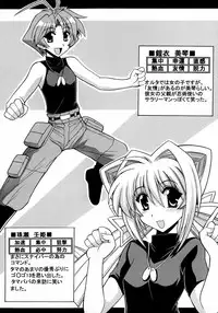 (C71) [Leaz Koubou (Oujano Kaze)] Kasumi Maniax (Muv-Luv Alternative)