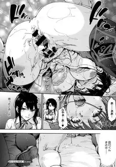 Harem Cult side HAREM