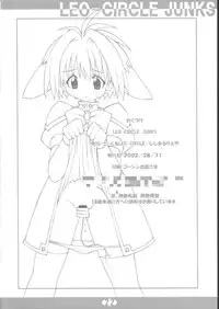 Leo-Circle Junks