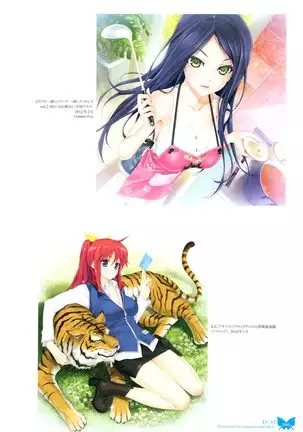 八宝備仁画集 紅蝶（ほてり）