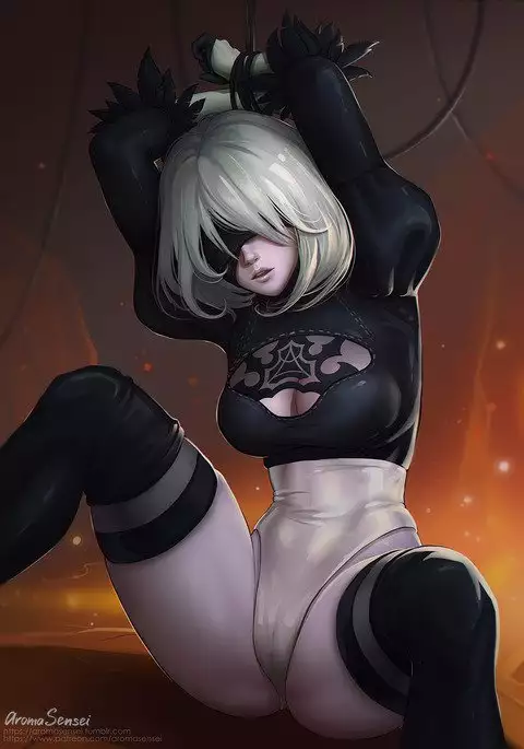 2B 9S