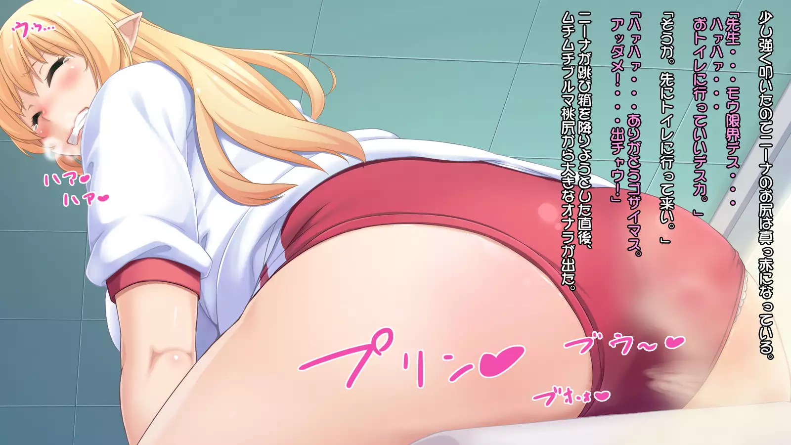 Junshin na Elf no Ryuugakusei ni Anal Choukyo shiyo！