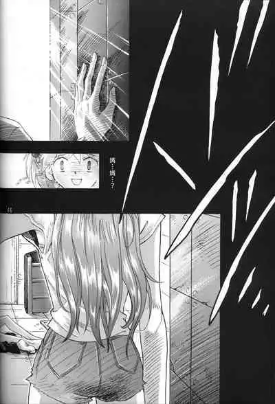 PEPPY ANGEL·淘气の天使第6·7·8卷（EVA·剧情漫画合集）