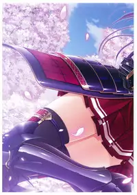 Walkure Romanze More & More Visual Fan Book