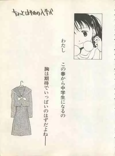 Shin Bishoujo Shoukougun 4 Houou hen