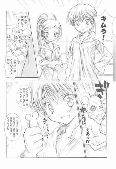 BATTLE FOR THE PLANET OF THE HAMS