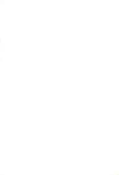 (C59) [Itaba Tatamiten (Itaba Hiroshi)] NiSeMoNo 6