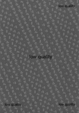 マエノメリビルベリー