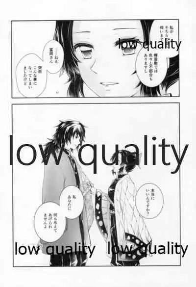 藤の雫、艶の水紋