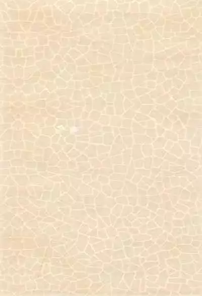 Chibiusa Kiki Ippatsu