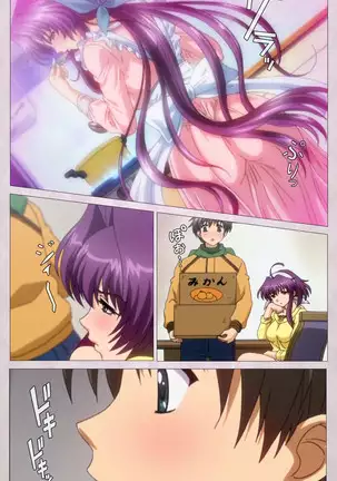 Tsuma Shibori Kanzenban