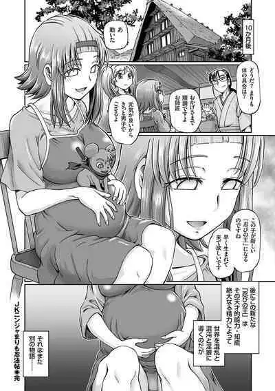 JK Ninja Marimo Ninpouchou