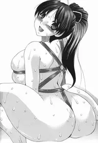 [Mitsuki Rintarou] Koukan Retsujou