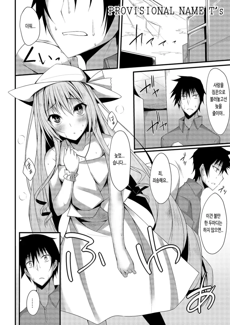 PROVISIONAL NAME T's