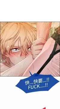 [Studio Gale] Lady Garden 淑女花苑 第一季 [Chinese]