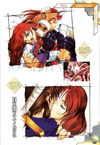 (一般画集) [elf] WORDS WORTH 完全ガイド