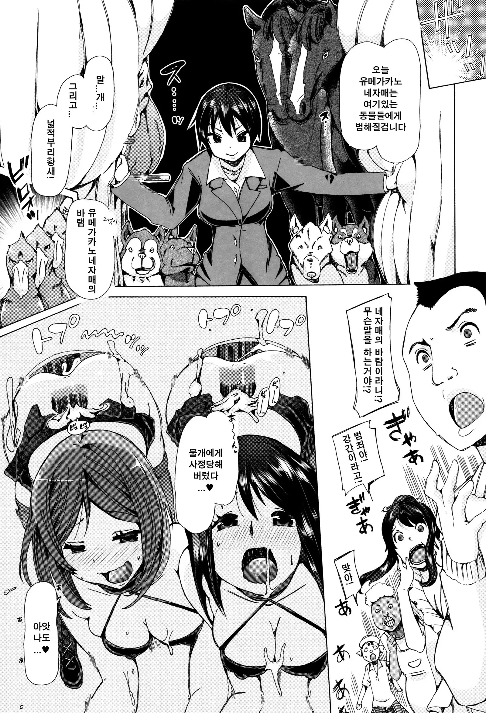 Juukan Kyoushitsu - Bestiality Class