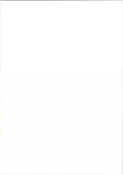 Chotto Kawatta Majokko Hon 2