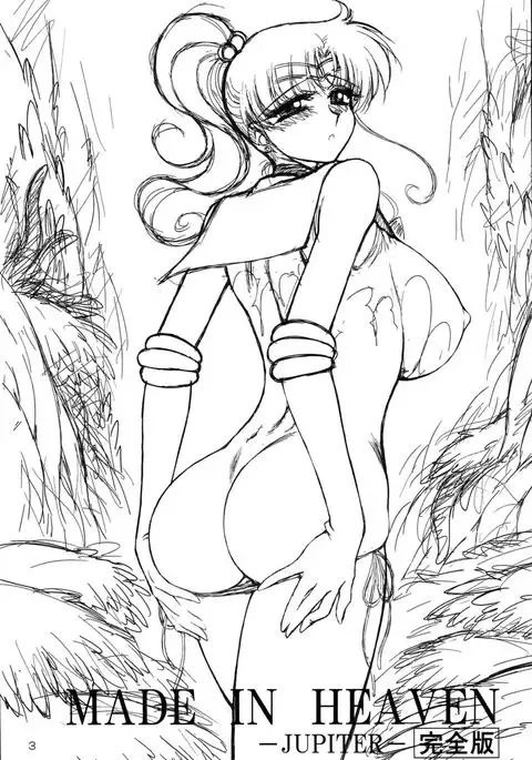 MADE IN HEAVEN -JUPITER-