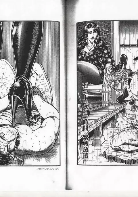 コミックマゾ 6 暗藻ナイト